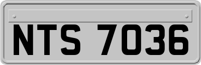 NTS7036