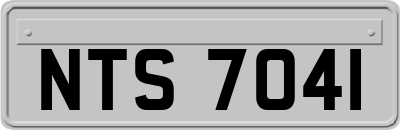 NTS7041