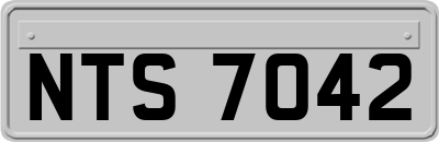 NTS7042