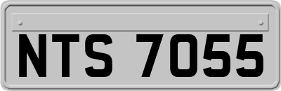 NTS7055