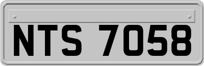 NTS7058