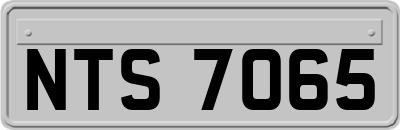 NTS7065