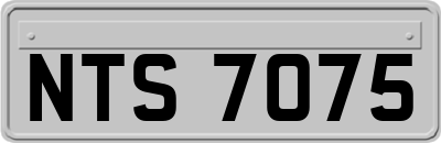 NTS7075