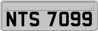 NTS7099