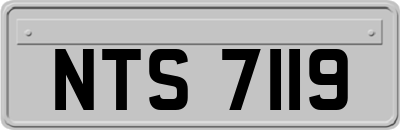 NTS7119