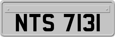 NTS7131