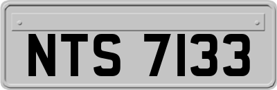 NTS7133