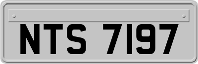 NTS7197