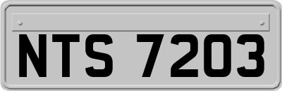 NTS7203