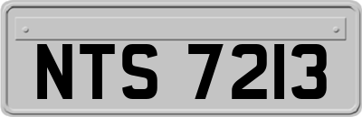 NTS7213