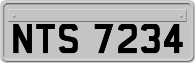 NTS7234