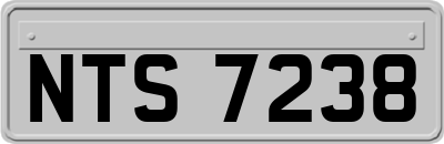 NTS7238
