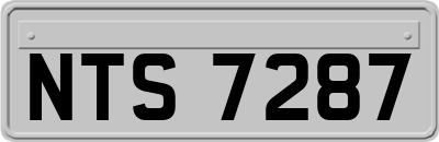 NTS7287
