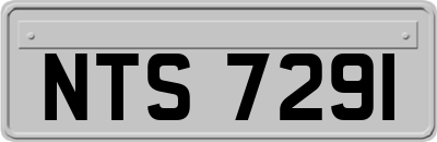 NTS7291