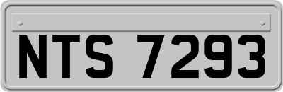 NTS7293