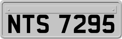 NTS7295