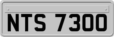 NTS7300