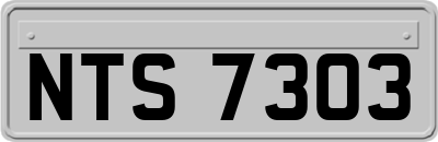 NTS7303