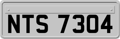NTS7304