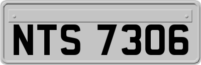 NTS7306