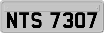 NTS7307