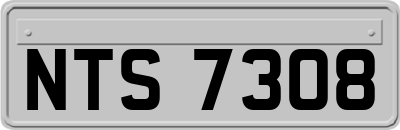 NTS7308