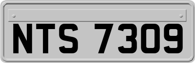 NTS7309