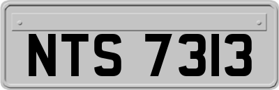 NTS7313