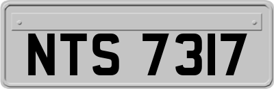 NTS7317
