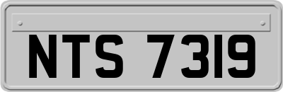 NTS7319
