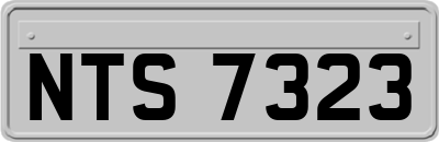 NTS7323
