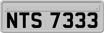 NTS7333