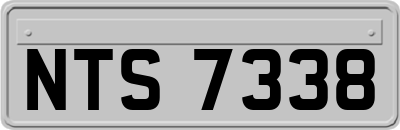NTS7338