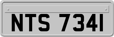 NTS7341