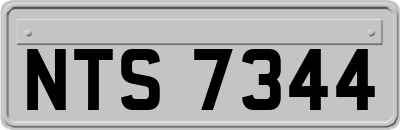 NTS7344
