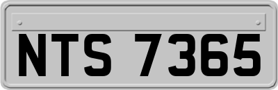 NTS7365