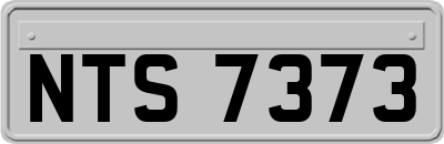 NTS7373