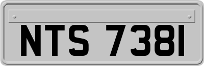 NTS7381
