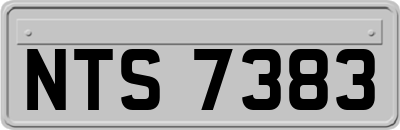 NTS7383