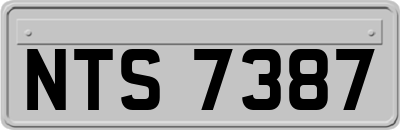 NTS7387