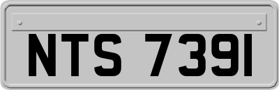 NTS7391