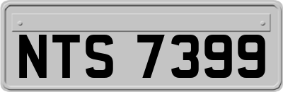 NTS7399