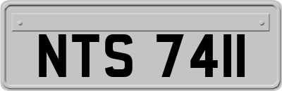 NTS7411