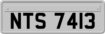NTS7413