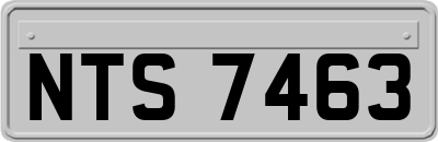 NTS7463