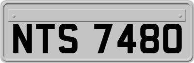 NTS7480