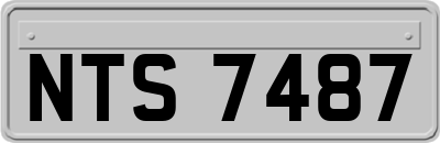 NTS7487