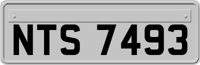 NTS7493