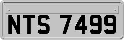 NTS7499