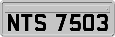 NTS7503
